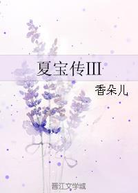 夏宝传三晋江