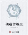 仙道什么水平