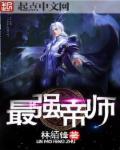 最强帝师县令解说