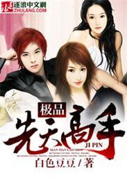 极品先天高手txt