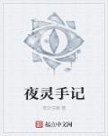 夜灵在哪里打