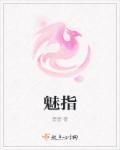 魅锁智能锁