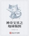 神奇宝贝地域