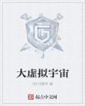 虚拟宇宙公司老大
