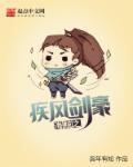 海贼王之疾风剑豪百度百科