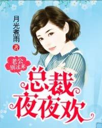 总裁老公别乱来安小晚
