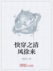 清风拂夏的快穿