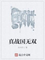 战国无双4dx包括战国无双4-2吗