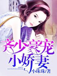 齐少私宠罪妻