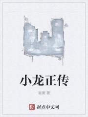 播放电视剧小龙