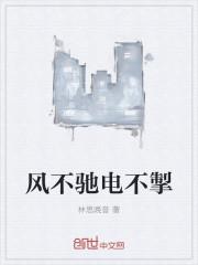 风驰电掣打一数