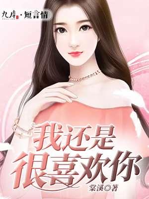 我还是很喜欢你陈瑞歌词