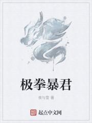 极拳暴君有没有第二部