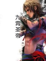 九霄圣帝无删减