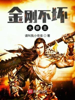 金刚不坏大寨主地图