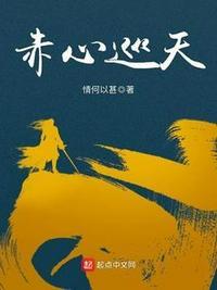 赤心巡天昭王是谁