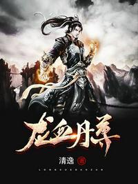 龙血丹尊叶辰(叶辰沈雁凡)