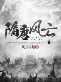 隋唐风云王宝强版