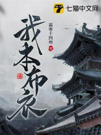 我本布衣短剧免费观看