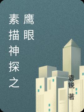 公安鹰眼神探