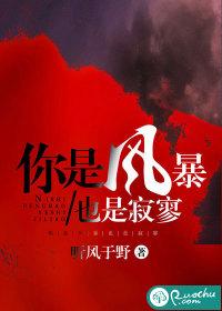 你是风暴也是寂寥听风于野免费阅读