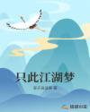 只此江湖梦完整版免费观看
