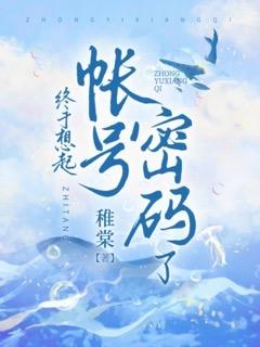 账号密码忘记了怎么弄