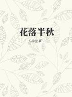 乡野小神医 梦里花落半秋