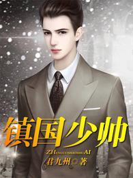 镇国少帅全集阅读