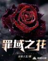 追凶之夜