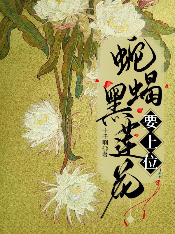 黑莲花的上位(np)作者墨宝非宝