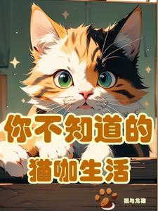 开猫咖