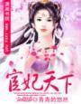 宦妃天下图片