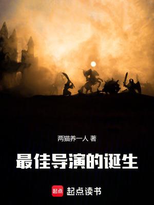 最佳导演的诞生起点中文网