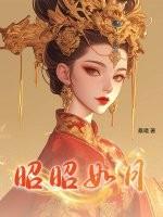 昭如日月