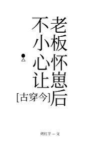 不小心让老板怀崽后[古穿今