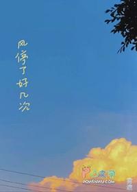 风停了好几次星星散落