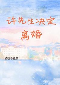 许先生决定离婚原耽