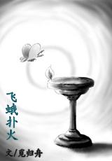 飞蛾扑火的歌词的歌曲