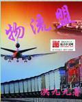 什么是物流联盟模式