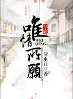 愿与你相遇 军旅高干