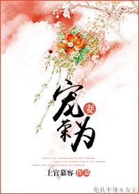 宠妻为后简介