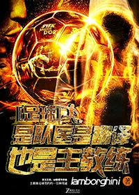 足球队医什么水平